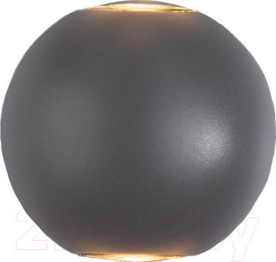 Бра уличное Elektrostandard 1566 Techno LED Diver - фото