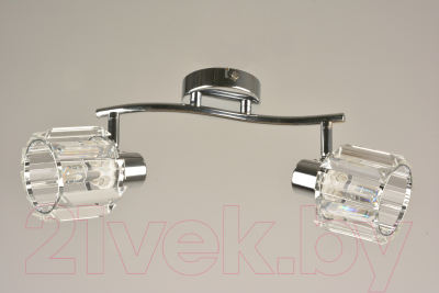 Потолочный светильник Mirastyle BL-15000/2 CR