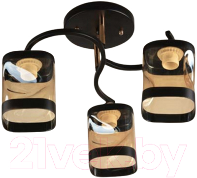 Потолочный светильник Mirastyle BL-15052/3 BK+FG - фото