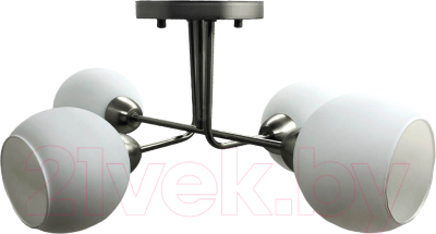 Потолочный светильник Mirastyle BL-15076/4 SN - фото