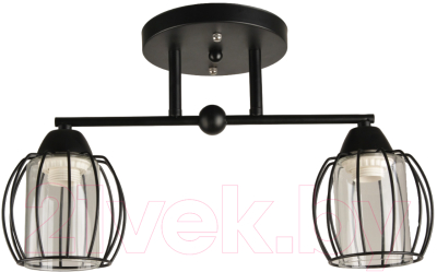 Потолочный светильник Mirastyle BL-15158/2 BK - фото