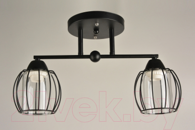 Потолочный светильник Mirastyle BL-15158/2 BK