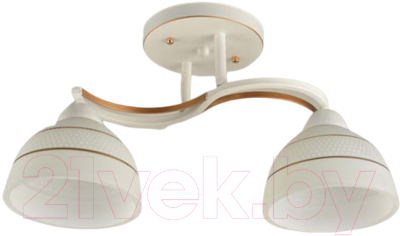 Потолочный светильник Mirastyle BL-15160/2A WG - фото