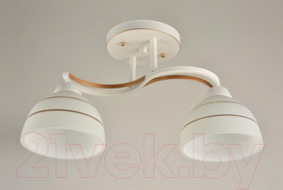 Потолочный светильник Mirastyle BL-15160/2A WG