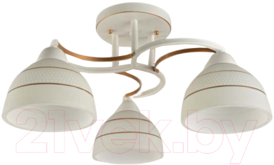 Потолочный светильник Mirastyle BL-15160/3A WG - фото