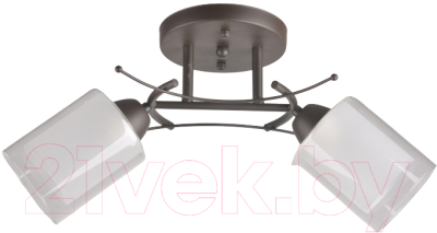 Потолочный светильник Mirastyle BL-2354/2 SKF - фото