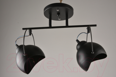 Потолочный светильник Mirastyle BL-2466/2 BK