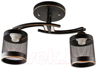 Потолочный светильник Mirastyle BL-2530/2 BKG - фото