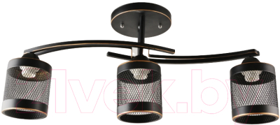Потолочный светильник Mirastyle BL-2530/3 BKG - фото