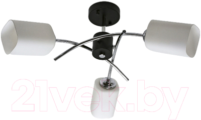 Потолочный светильник Mirastyle BL-6794/3 BK - фото