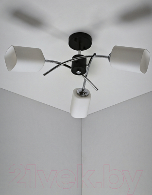 Потолочный светильник Mirastyle BL-6794/3 BK