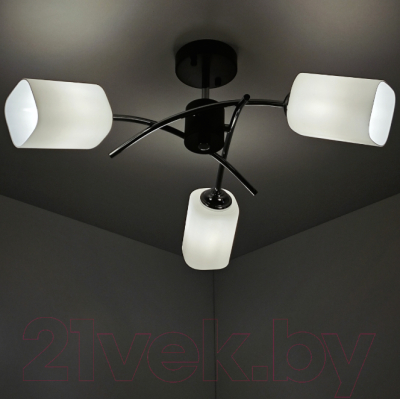 Потолочный светильник Mirastyle BL-6794/3 BK