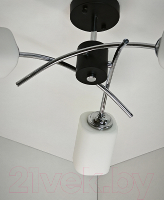 Потолочный светильник Mirastyle BL-6794/3 BK