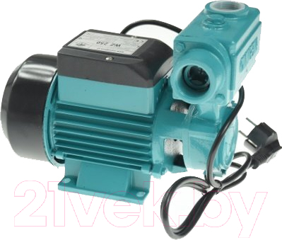Поверхностный насос GreenPump WZ 250 - фото