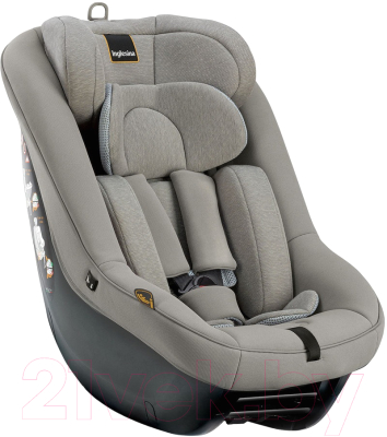 Автокресло Inglesina Darwin Next Stage I-Size / AV78Q0MOG - фото