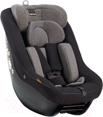 Автокресло Inglesina Darwin Next Stage I-Size / AV78Q0VLB - фото