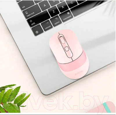 Мышь A4Tech Fstyler FB10C