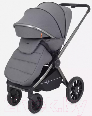 Детская универсальная коляска Rant Falcon 2 в 1 / RA097