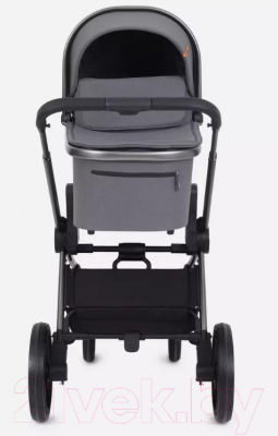 Детская универсальная коляска Rant Falcon 2 в 1 / RA097