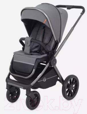 Детская универсальная коляска Rant Falcon 2 в 1 / RA097
