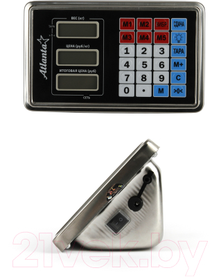 Весы платформенные Atlanta ATH-6110