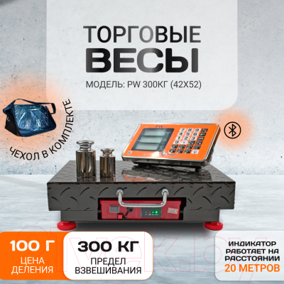 Весы платформенные Shtapler PW 300 42x52 / 71057110
