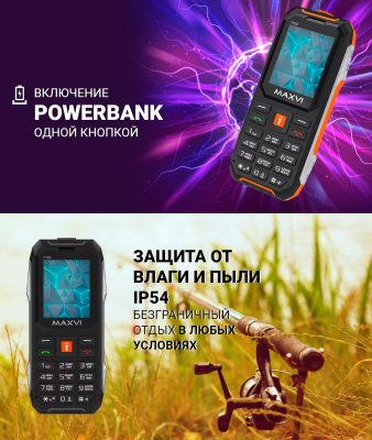 Мобильный телефон Maxvi T100