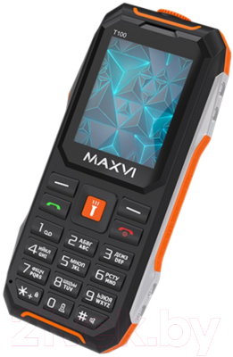 Мобильный телефон Maxvi T100