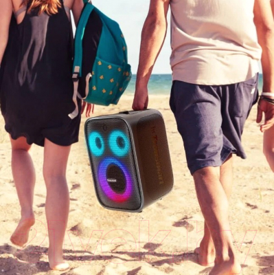 Портативная колонка Tronsmart Halo 200