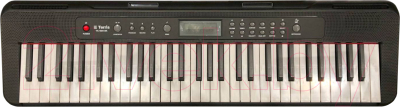Синтезатор Terris TK-500 BK - фото