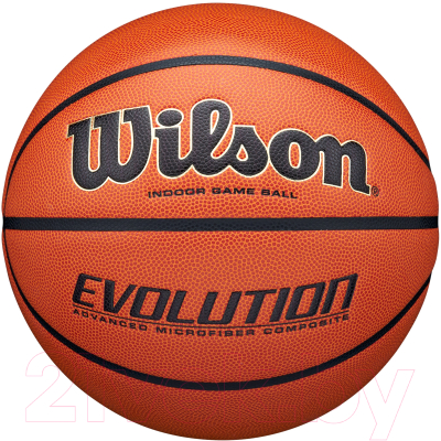 Баскетбольный мяч Wilson Evolution / WTB0516E7 - фото