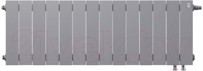 Радиатор биметаллический Royal Thermo PianoForte 300 VDR Silver Satin - фото