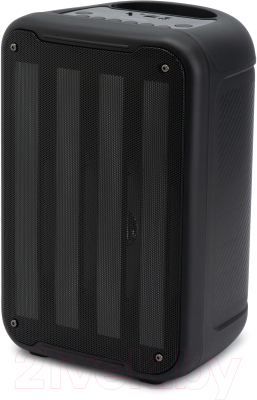 Портативная колонка Hyundai H-MC1204