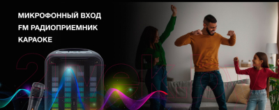 Портативная колонка Hyundai H-MC1204