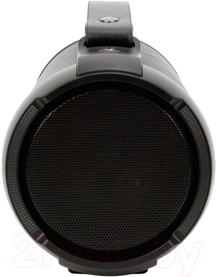 Портативная колонка Digma D-PS1520