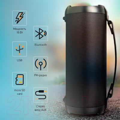 Портативная колонка Digma D-PS1520