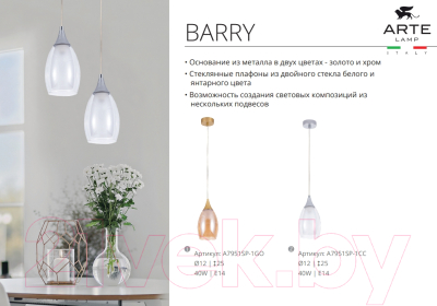 Потолочный светильник Arte Lamp Barry A7951SP-1CC