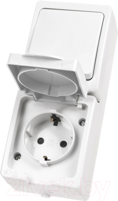 Блок выключатель+розетка TDM Вуокса SQ1803-1011 - фото