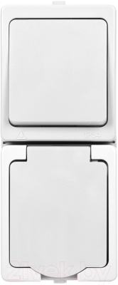 Блок выключатель+розетка TDM Вуокса SQ1803-1011