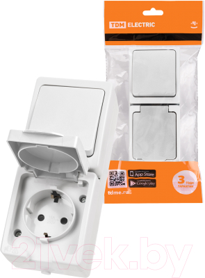 Блок выключатель+розетка TDM Вуокса SQ1803-1011