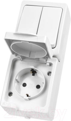 Блок выключатель+розетка TDM Вуокса SQ1803-1013 - фото