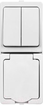 Блок выключатель+розетка TDM Вуокса SQ1803-1013