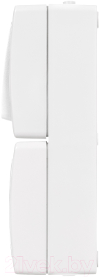 Блок выключатель+розетка TDM Вуокса SQ1803-1013