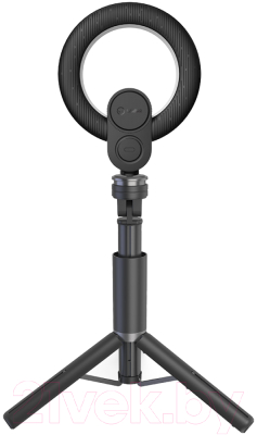 Веб-камера Lorgar Circulus 910 / LRG-SC910