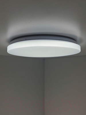 Потолочный светильник Mirastyle XL-007/480 4K