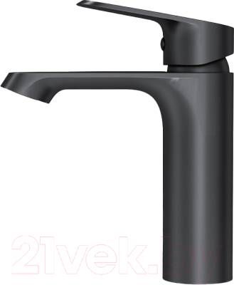 Смеситель AM.PM Func F8F02122 (черный) - фото