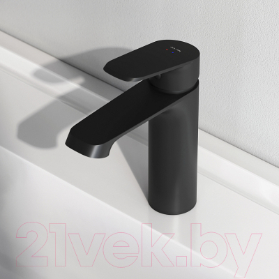 Смеситель AM.PM Func F8F02122 (черный)