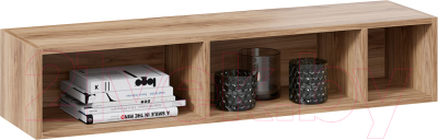 Полка ТриЯ ТД-102.28 (яблоня беллуно)