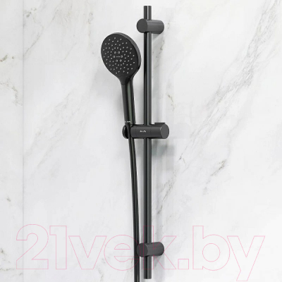 Душевой гарнитур AM.PM Like F0180022