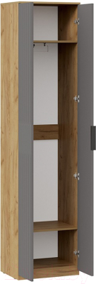 Шкаф ТриЯ Хилтон для одежды исп.2 (дуб крафт золотой/графит матовый)